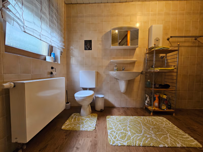 Badezimmer mit Blick auf Toilette, Wachbecken, Spiegel, Fenster und Regal für Handtüscher